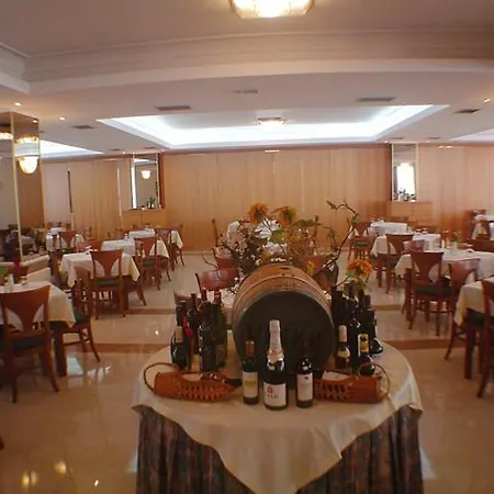 호텔 Continental Palace 살리디